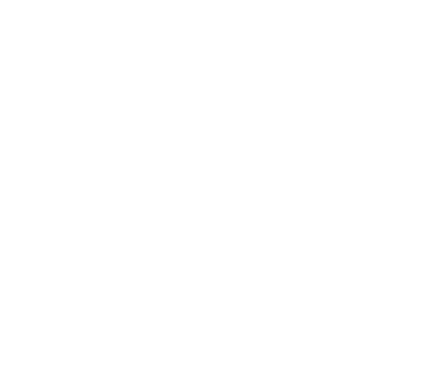 Logo AYUF HOLDING Abidjan