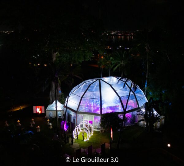 Mariage VIP dans les Jardins du Sofitel Hôtel Ivoire - Ayuf Holding