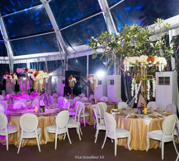 Mariage VIP dans les Jardins du Sofitel Hôtel Ivoire - Ayuf Holding
