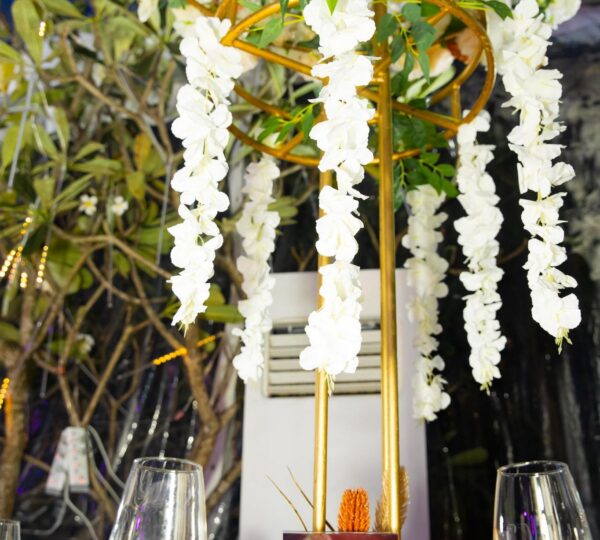 Mariage VIP dans les Jardins du Sofitel Hôtel Ivoire - Ayuf Holding