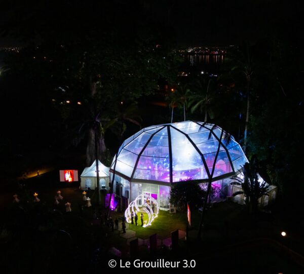 Mariage VIP dans les Jardins du Sofitel Hôtel Ivoire - Ayuf Holding