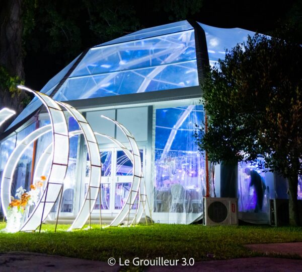 Mariage VIP dans les Jardins du Sofitel Hôtel Ivoire - Ayuf Holding