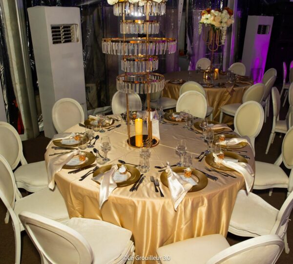 Mariage VIP dans les Jardins du Sofitel Hôtel Ivoire - Ayuf Holding