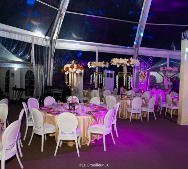 Mariage VIP dans les Jardins du Sofitel Hôtel Ivoire - Ayuf Holding